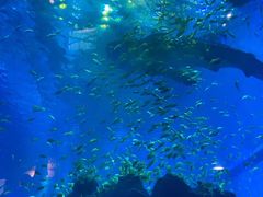 -成都浩海立方海洋公园