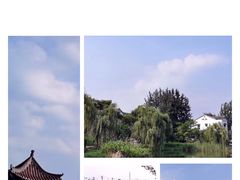 -大塘金香草谷
