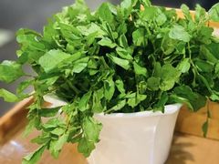 西洋菜-烹然四季椰子鸡火锅(团结湖总店)