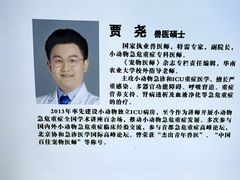 -北京观赏动物医院·24小时大型综合·猫专科·异宠专科
