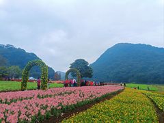 -广州市石门国家森林公园