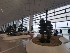 -郑州新郑国际机场-T2航站楼