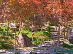 -广州市帽峰山景区