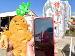 -橡皮山