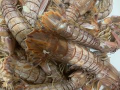 -山海关清和浑锅店