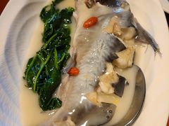 白汁回鱼-镇江苏宁万豪酒店-苏筵中餐厅