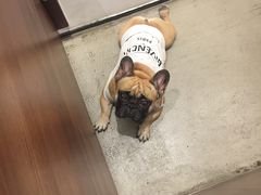 -海德柒号咖啡馆(保利海德公园店)