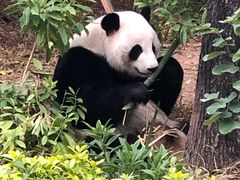 -南宁市动物园