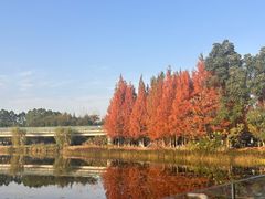 -白鹭湾湿地公园