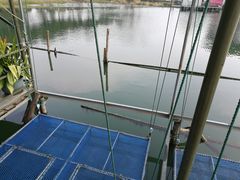 -水岸居湖景农家乐·阳澄湖大闸蟹
