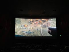 -大光明新国际影城(青浦吾悦店)