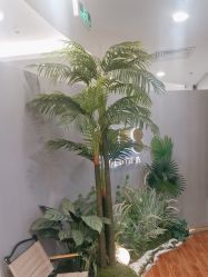 -八佰伴8008星级形象店