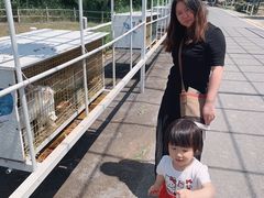 -大连铭湖国际观光牧场