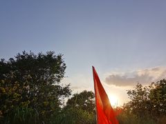 -飞凤山奥体公园