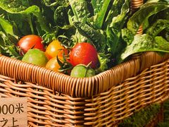 -海底捞火锅(悦汇时光颂店)