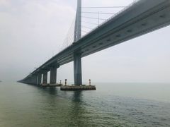 -港珠澳大桥(珠海段)