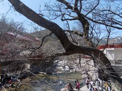 -崂山九水游览区