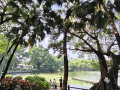 -荔湾湖公园