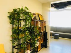 -环球雅思·托福·ALevel·OSSD·DSE·留学英语培训学校(体育西校区)