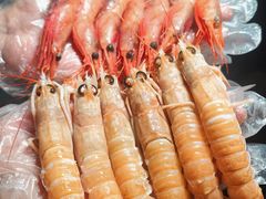 -吉川谷谷·日料放题(广安门店)