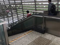 -外高桥保税区南(地铁站)