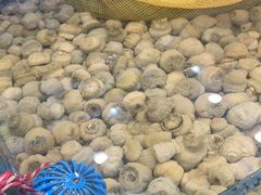 -隐厨·海鲜餐厅(恒通路店)