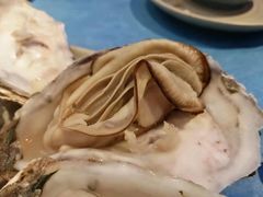 -千岛蚝高压锅生蚝·人参火锅(白云万达店)