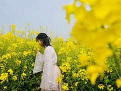 -尚贤河湿地