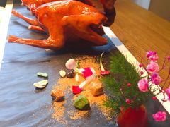 红烧鸽-大鸽饭(岗顶店)