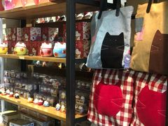 -猫咪博物馆(顶澳仔猫街店)