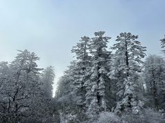 -瓦屋山景区