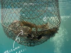 -SHRIMP CLUB万东餐饮钓虾·清吧