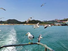 -海驴岛(荣成市)