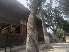 -关林