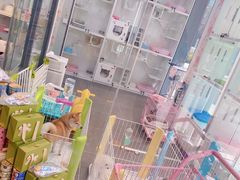 -萌兽医馆·眼科·异宠专科(三里屯店)