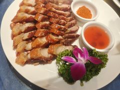 -金龙寨(龙城路店)