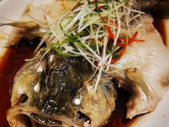 -金蝉食府(维吉奥广场店)