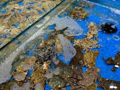 -兴龙广缘超市(奥体中心店)