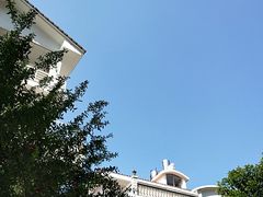 -阿吉仔(大元路店)