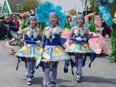 -荷兰花海