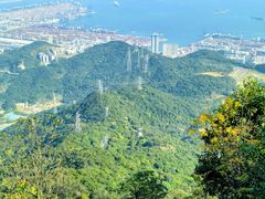 -梧桐山风景名胜区