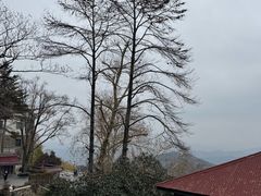 -莫干山风景区