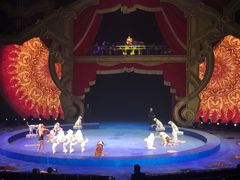 -珠海横琴长隆《卡卡虎奇遇记》