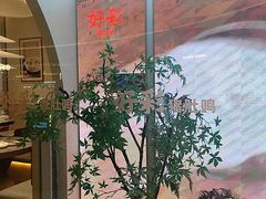 -好彩猪肚鸡(正弘城店)