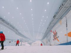 -哈尔滨热雪奇迹