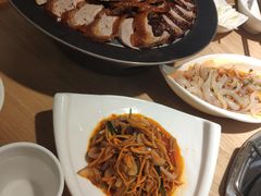 -守柴炉烤鸭(科华中路王府井店)