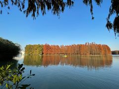 -上海海湾国家森林公园