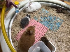 -必胜客(远大路店)