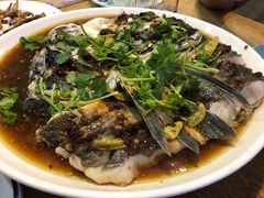 -珊溪水库野生有机包头鱼
