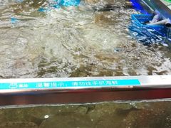 -盒马鲜生(大成店)